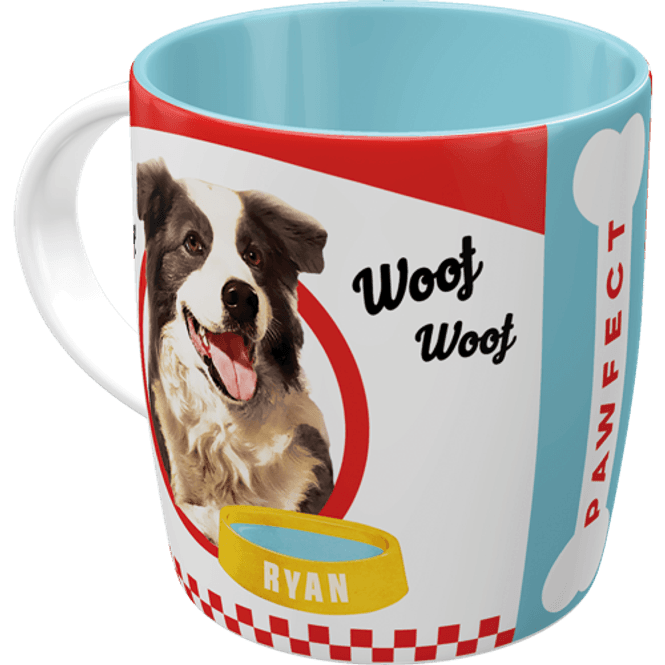 Hovedbilde Better Together Dogs