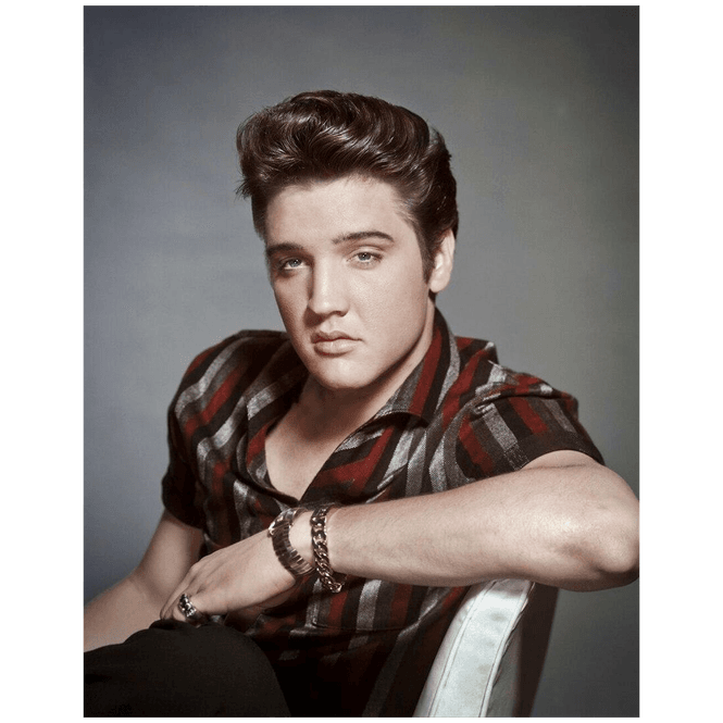 Hovedbilde Elvis Portrait